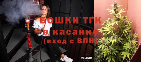 шишки Пестово