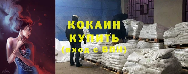 Альфа ПВП Пересвет