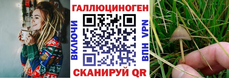 Псилоцибиновые грибы GOLDEN TEACHER mega ссылка Полярные Зори