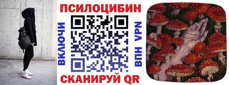 Галлюциногенные грибы Psilocybine cubensis Полярные Зори